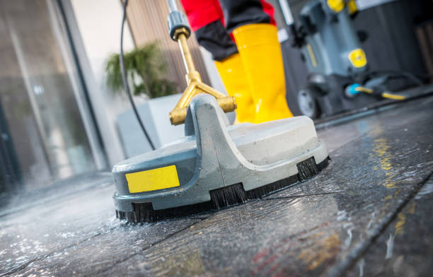 Best Power Washing Near Me  in Juno Ridge, FL